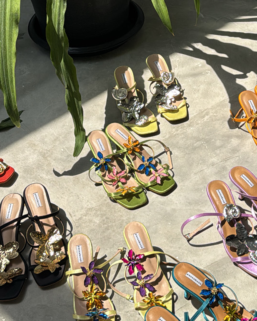 Cherie Amour - Black