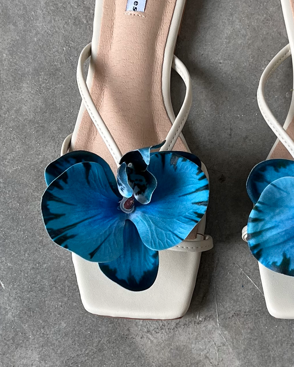 Garden Series -Ivory / blue pea