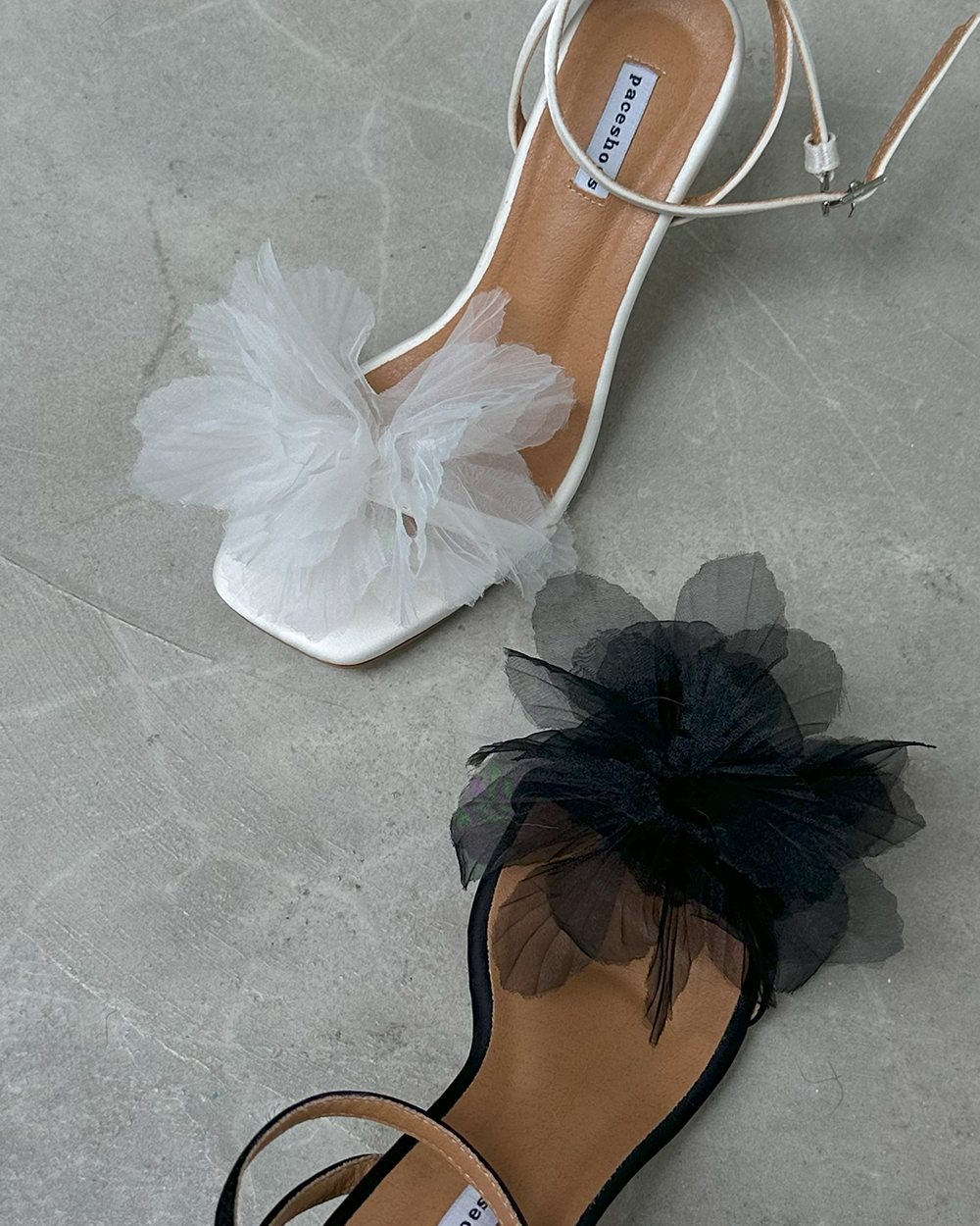 Garden Series - black and white petals