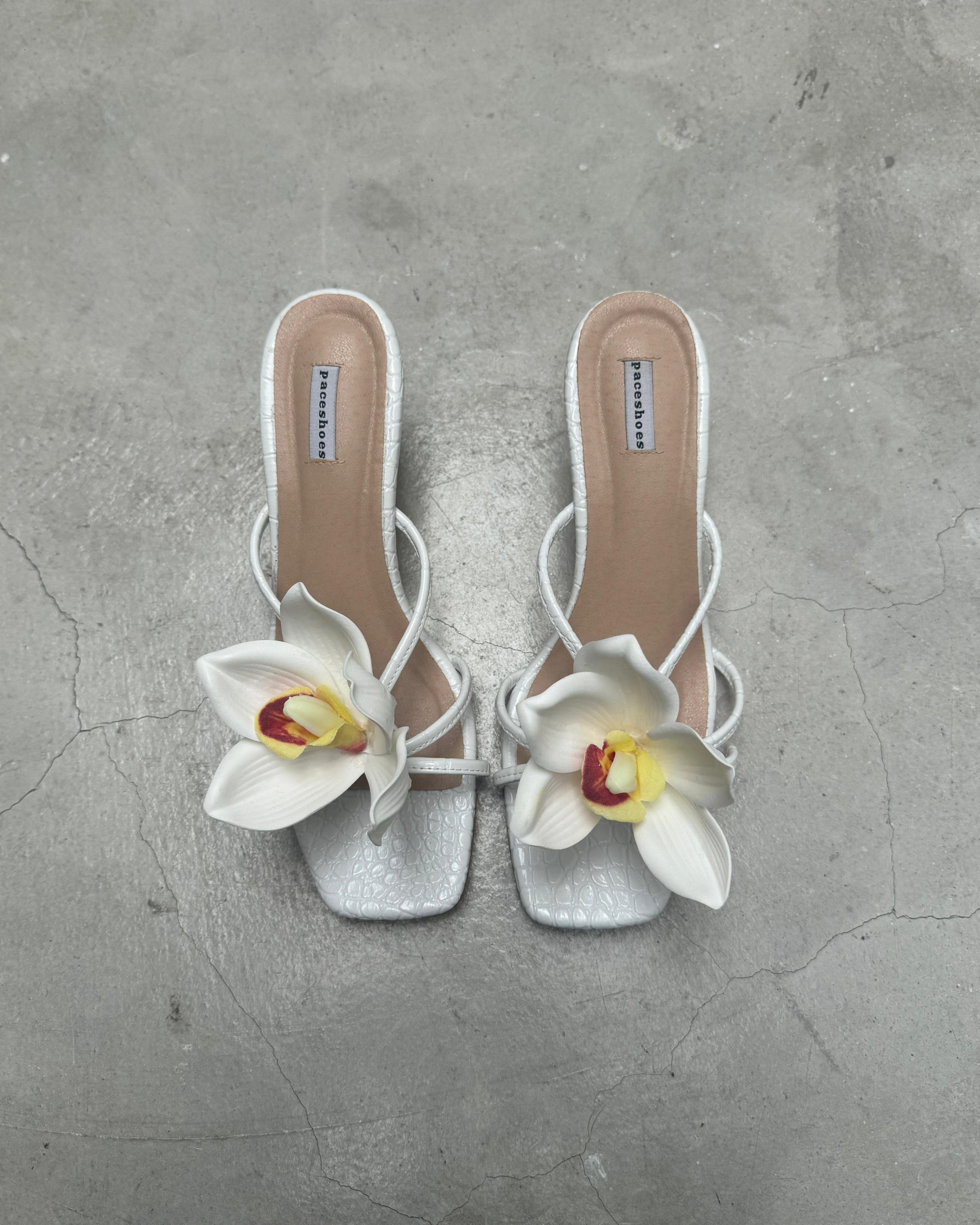 Garden Series - Blanc